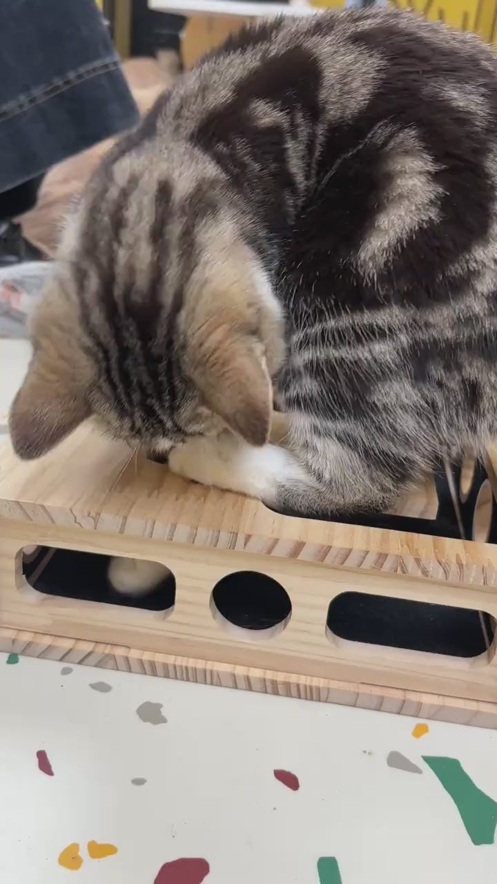 LUMIIVA™ Cat Nail File Scratch Enrichment Box video