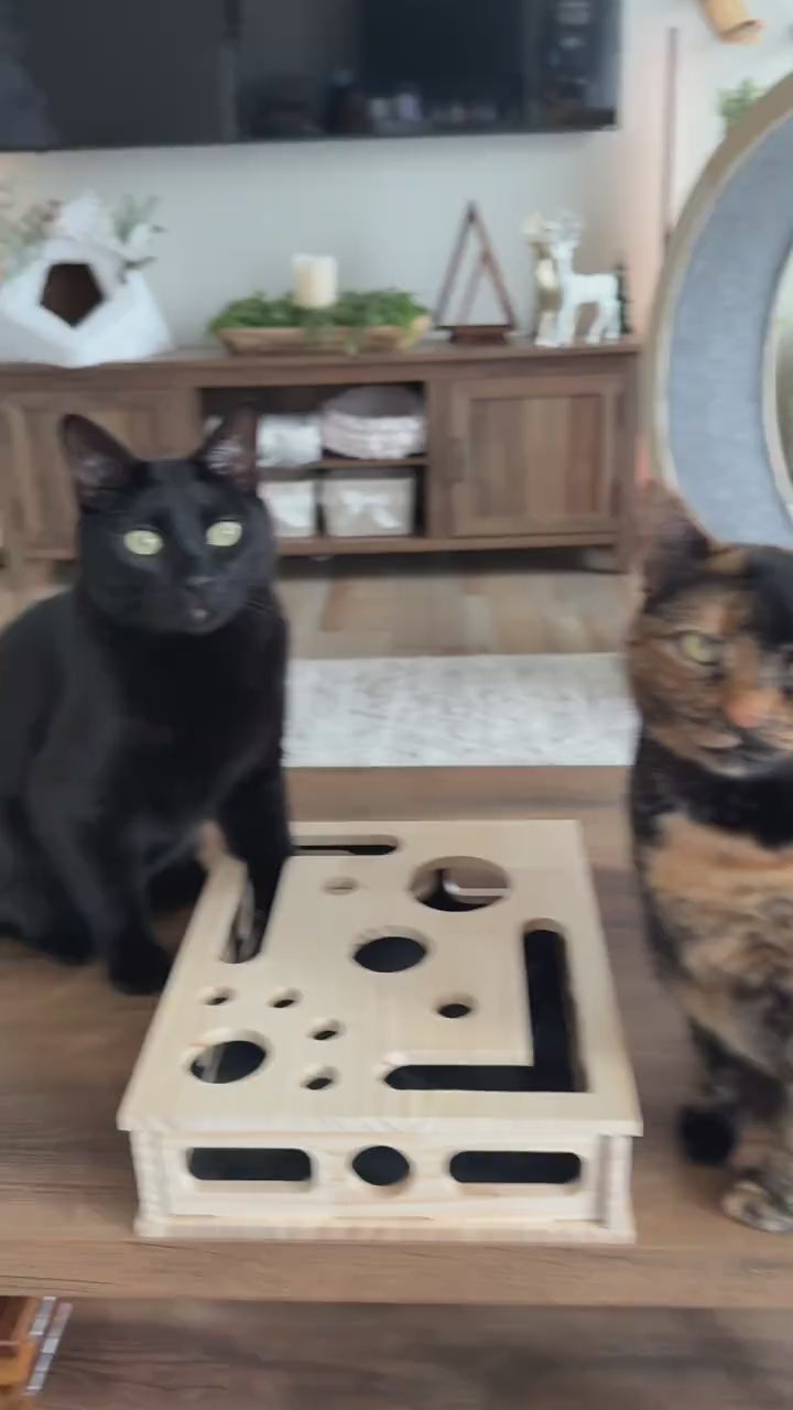 LUMIIVA™ Cat Nail File Scratch Enrichment Box video